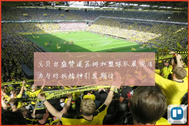 戈贝尔盛赞道苏姆加盟球队展现活力与对抗精神引发期待